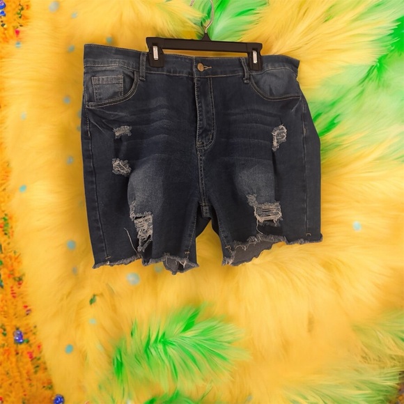 Pants - Distressed Denim Shorts